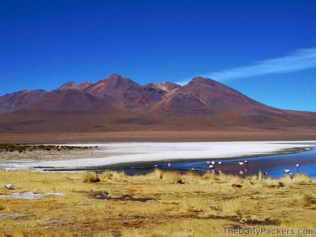 Uyuni 3 days trip - Salar de Uyuni - day 2 - laguna canapa
