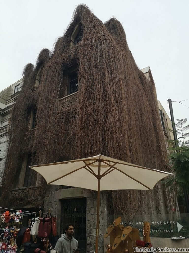 Bohemian district tree house santiago