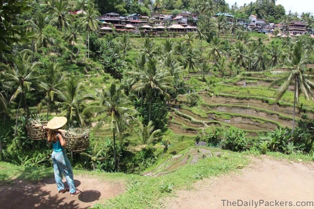 Terrasse de riz Tegallalang Ubud