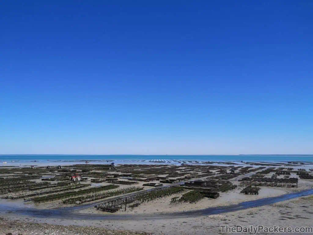 Cancale Oyster farm