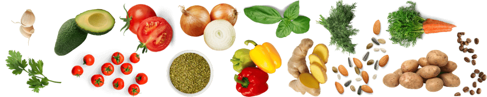 Cuisine des légumes Bannière
