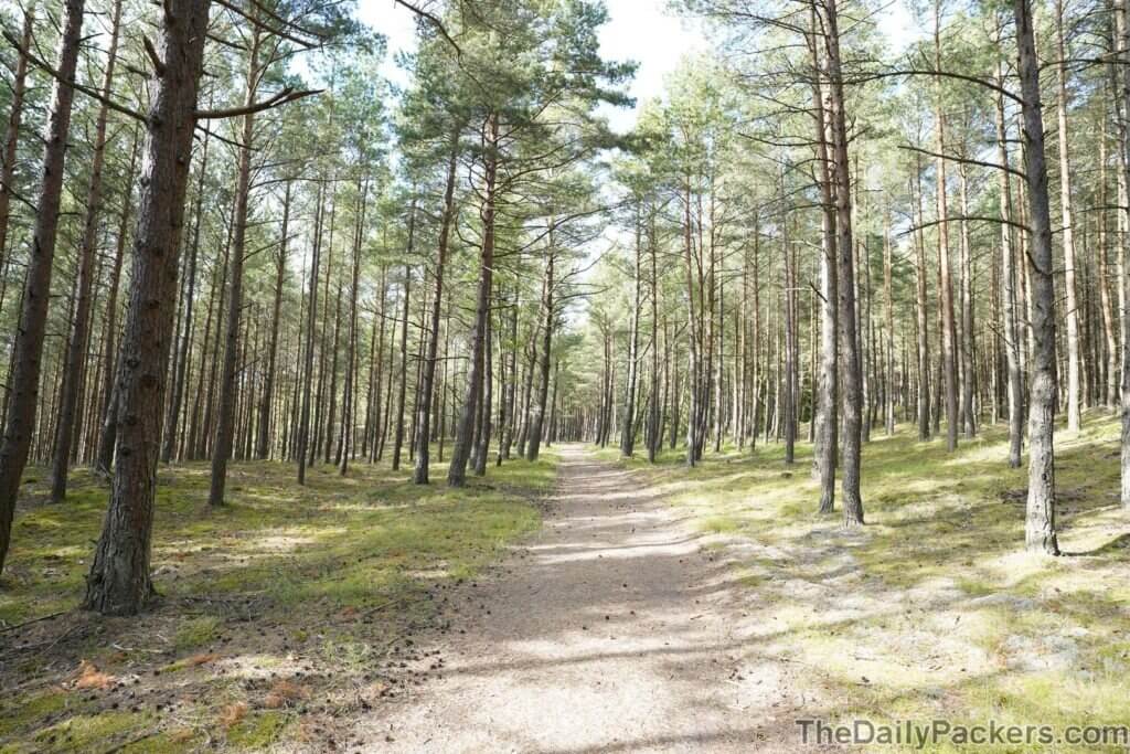 Educational Dendrological Trail