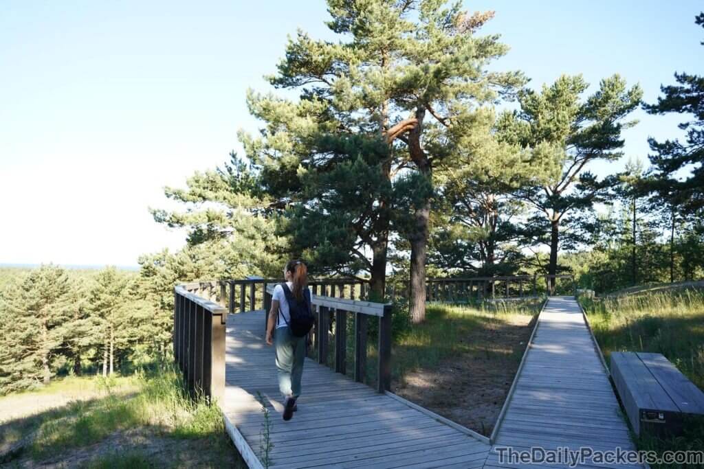 Avikalnis Observation Deck