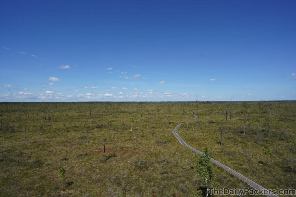 Soomaa National Park Guide