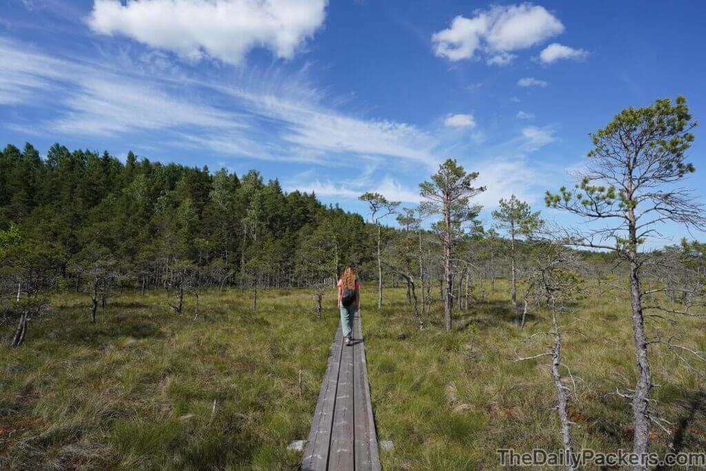 Les meilleures choses à faire à Soomaa