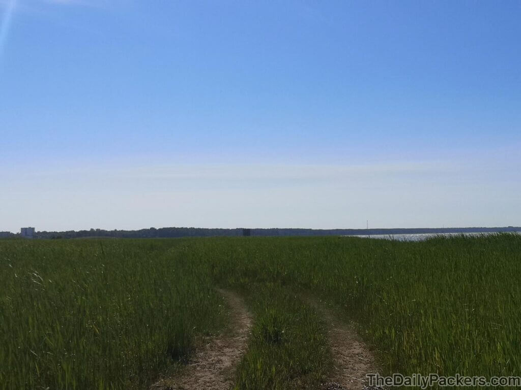 Tour d'observation des oiseaux de May