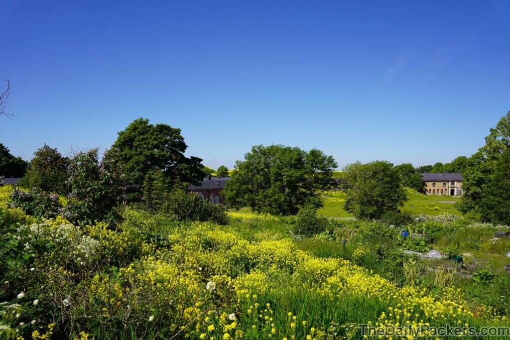 Helsinki Travel Guide