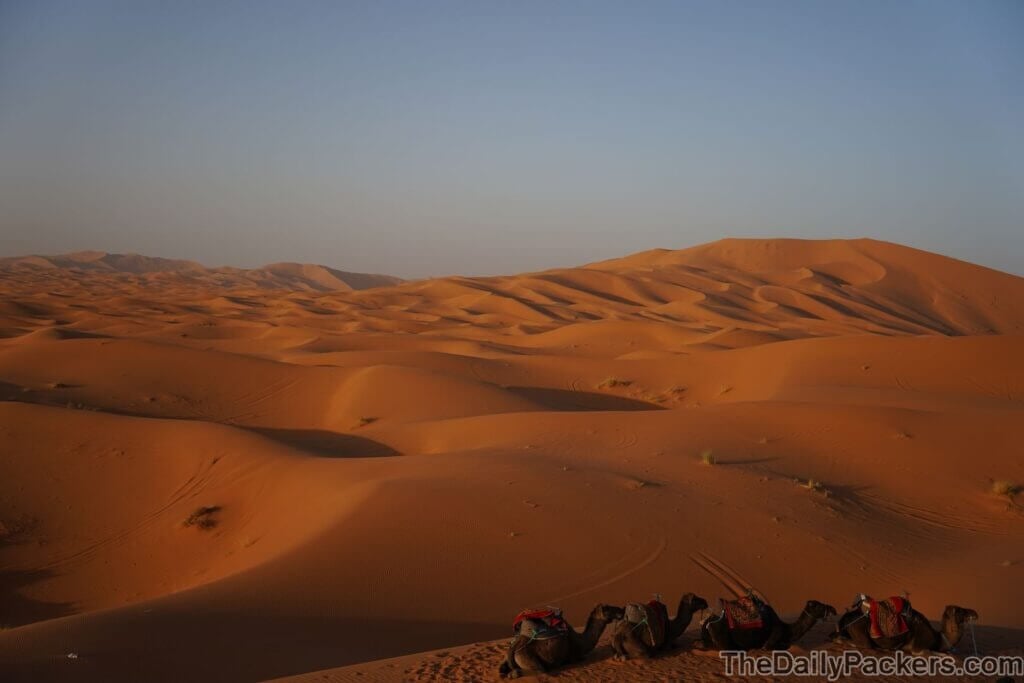 Glamping à Merzouga