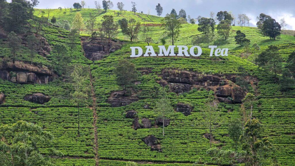 Kandy to Nuwara Eliya