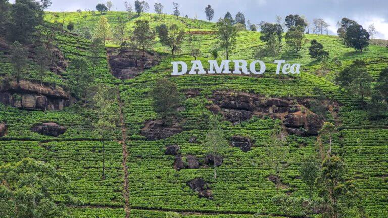 Kandy to Nuwara Eliya