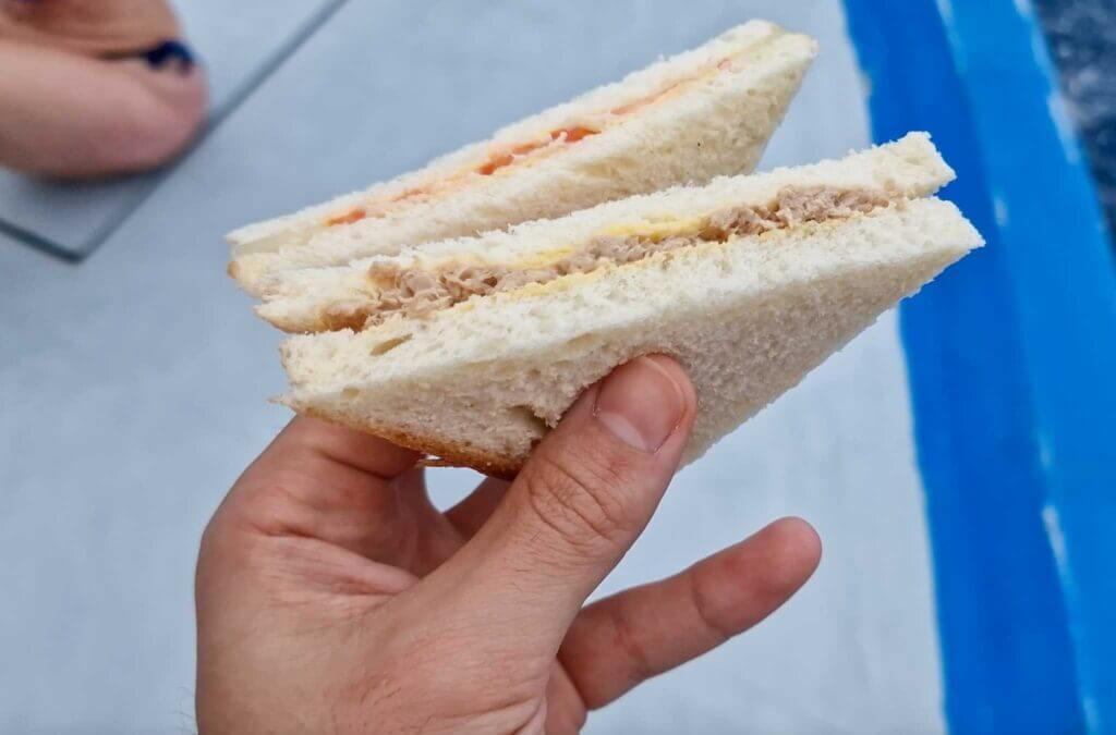 Wake Shark Tour Lunch