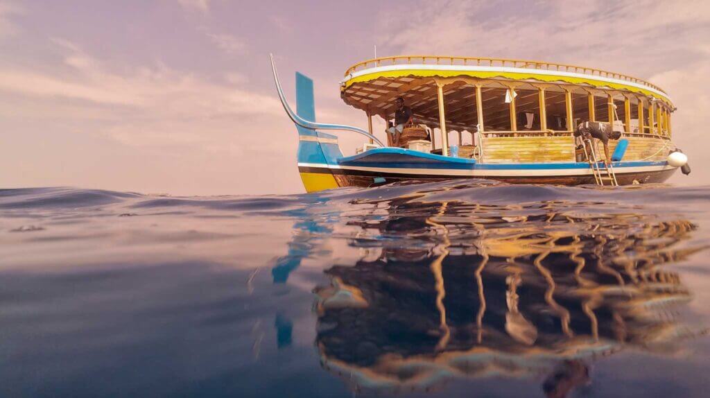 Wake Shark Tour Boat