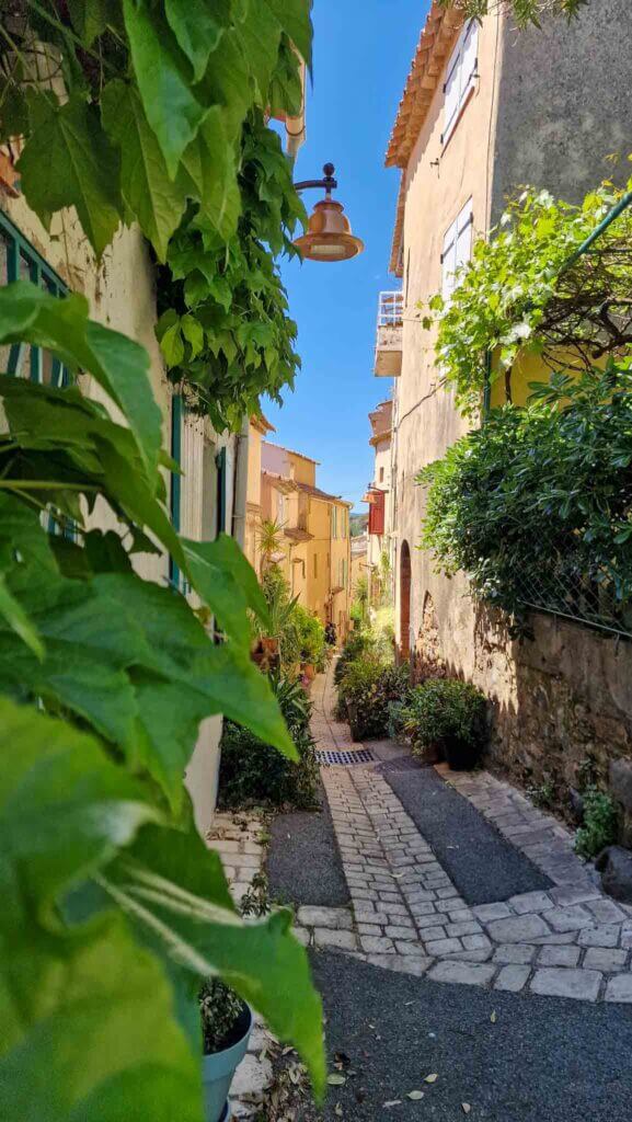 Grimaud