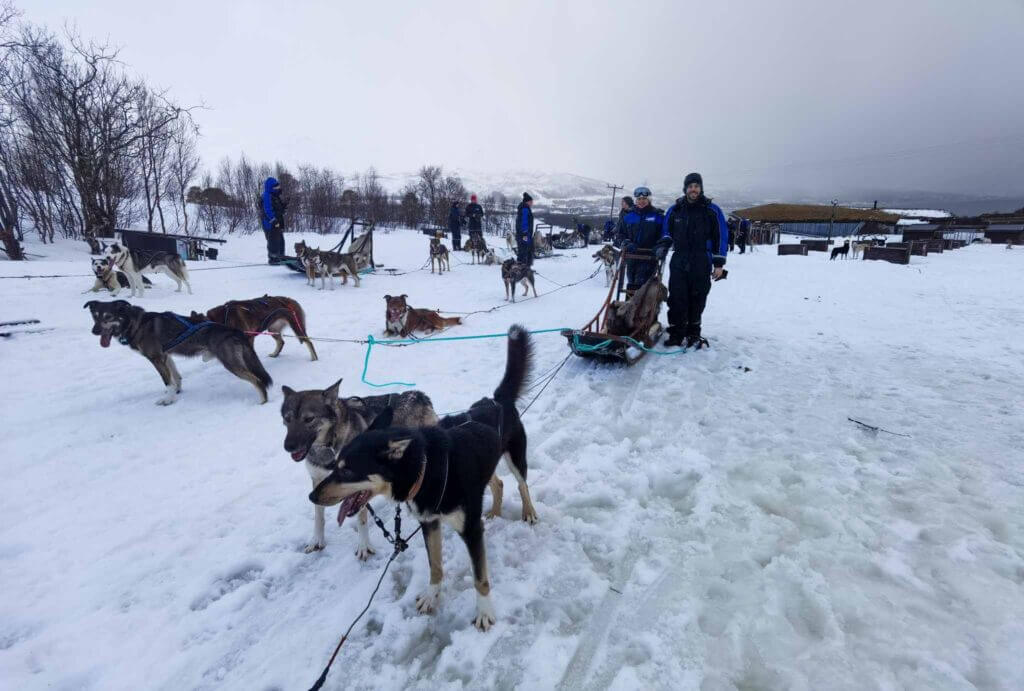 Traîneau à huskies Norvège