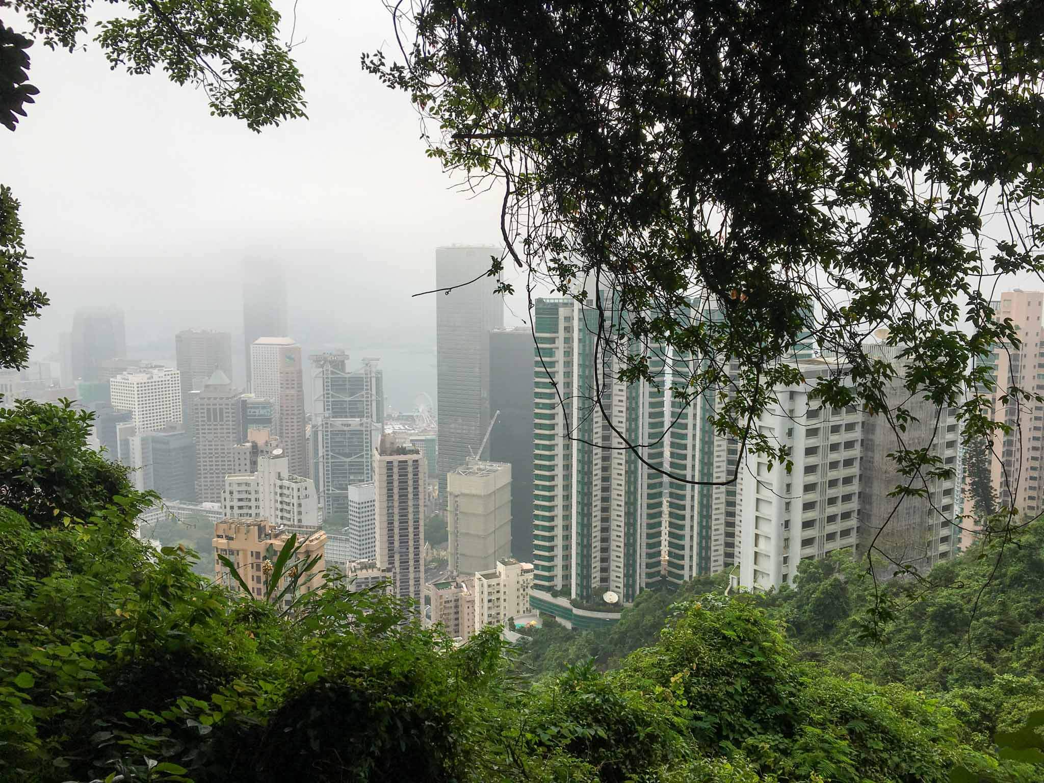 Que faire à Hong Kong ?