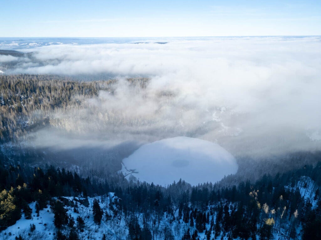 Forêt-Noire en hiver