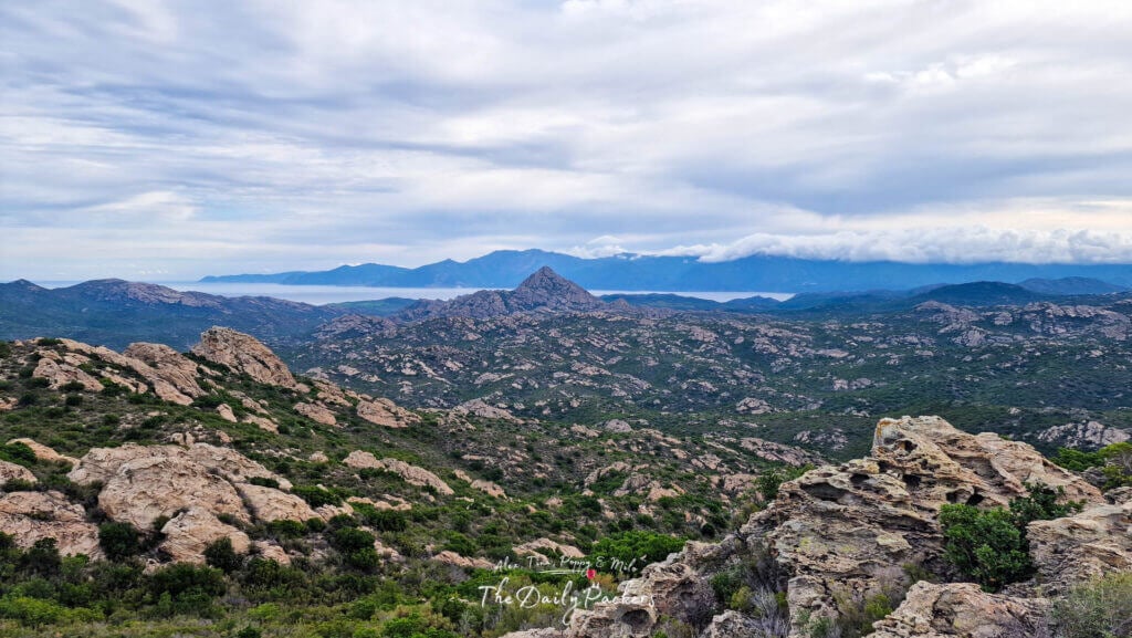 Point de vue Corse D81