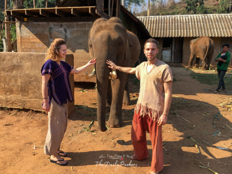 Couple gently petting an elephant named Superman at Ran-Tong Elephant Center in Chiang Mai during a Thailand itinerary