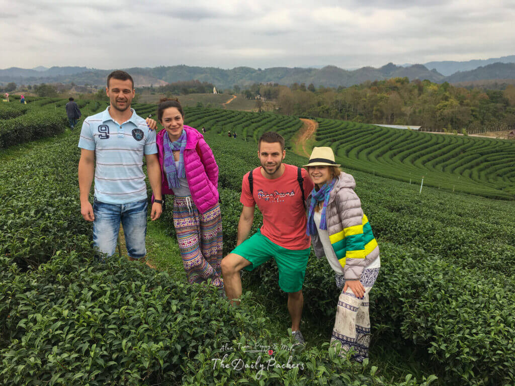 Groupe de voyageurs dans une plantation de thé verdoyante avec des collines en arrière-plan près de Chiang Rai, en Thaïlande.