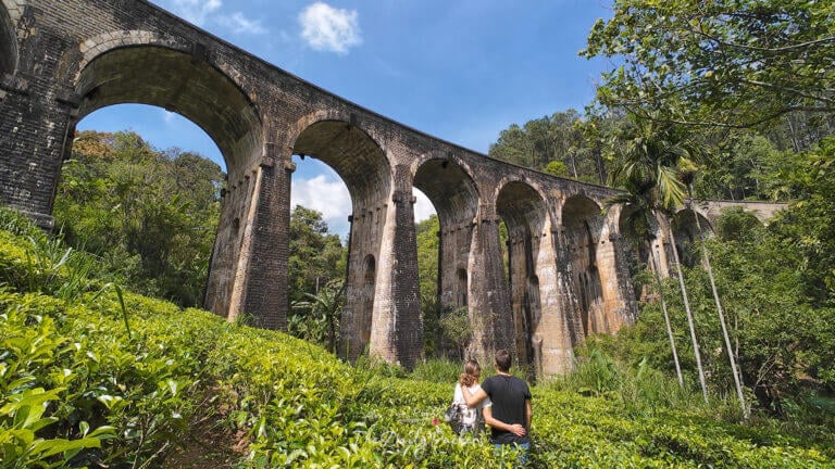Couple debout dans une plantation de thé face au Nine Arch Bridge à Ella