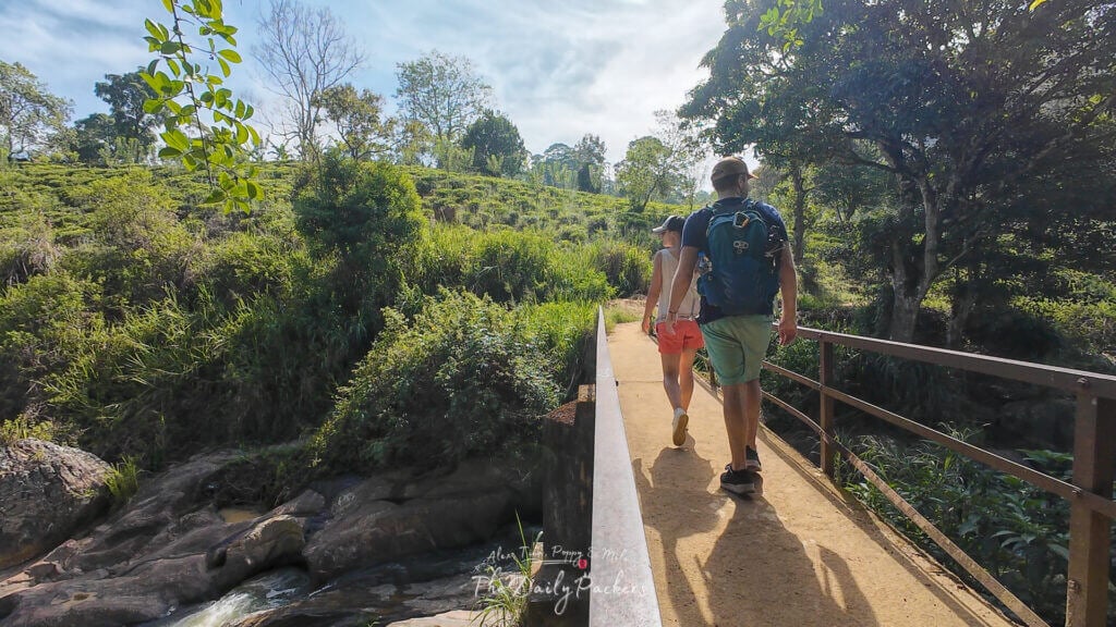 Couple traversant un pont métallique sur une petite rivière entourée de plantations de thé et de forêts près d'Ella.