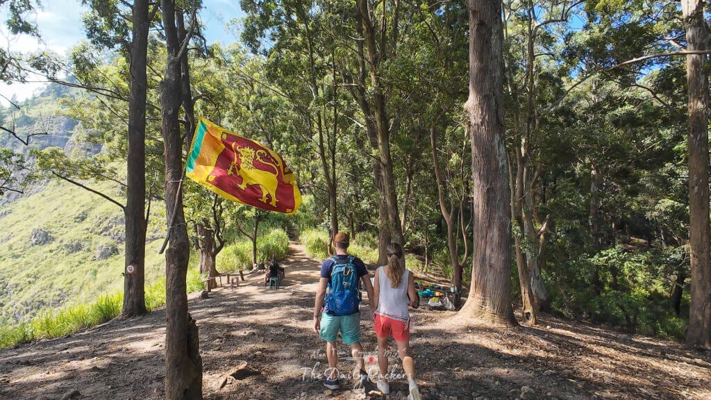 Couple marchant main dans la main sous un drapeau sri-lankais dans une forêt de pins près du point de vue d'Ella Rock.