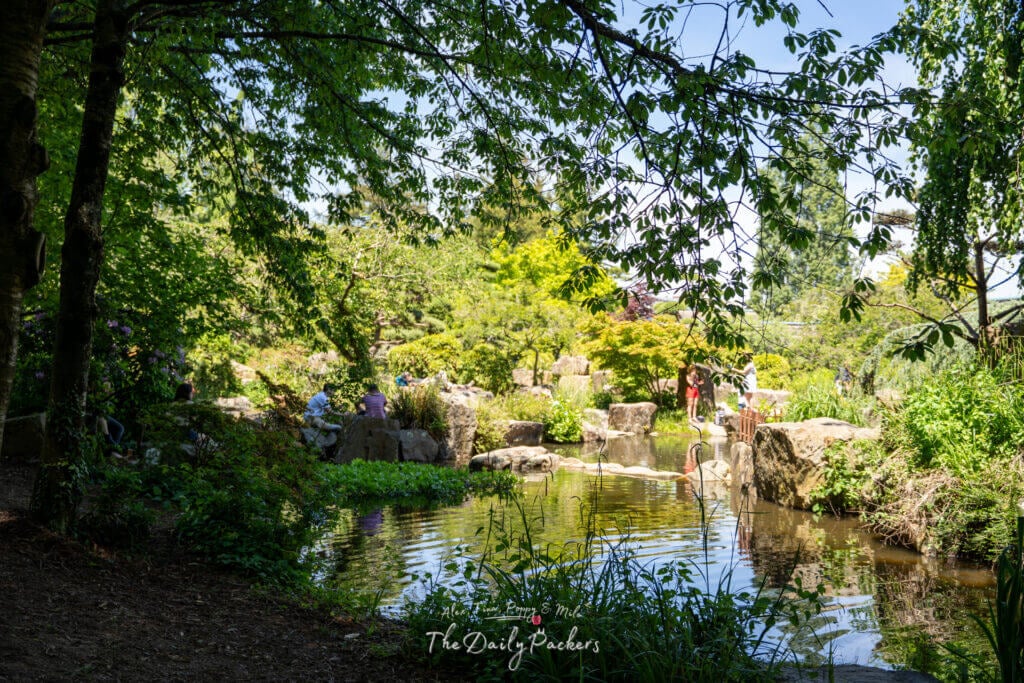 Tranquil Japanese garden scene with people relaxing by a pond on Île de Versailles in Nantes.