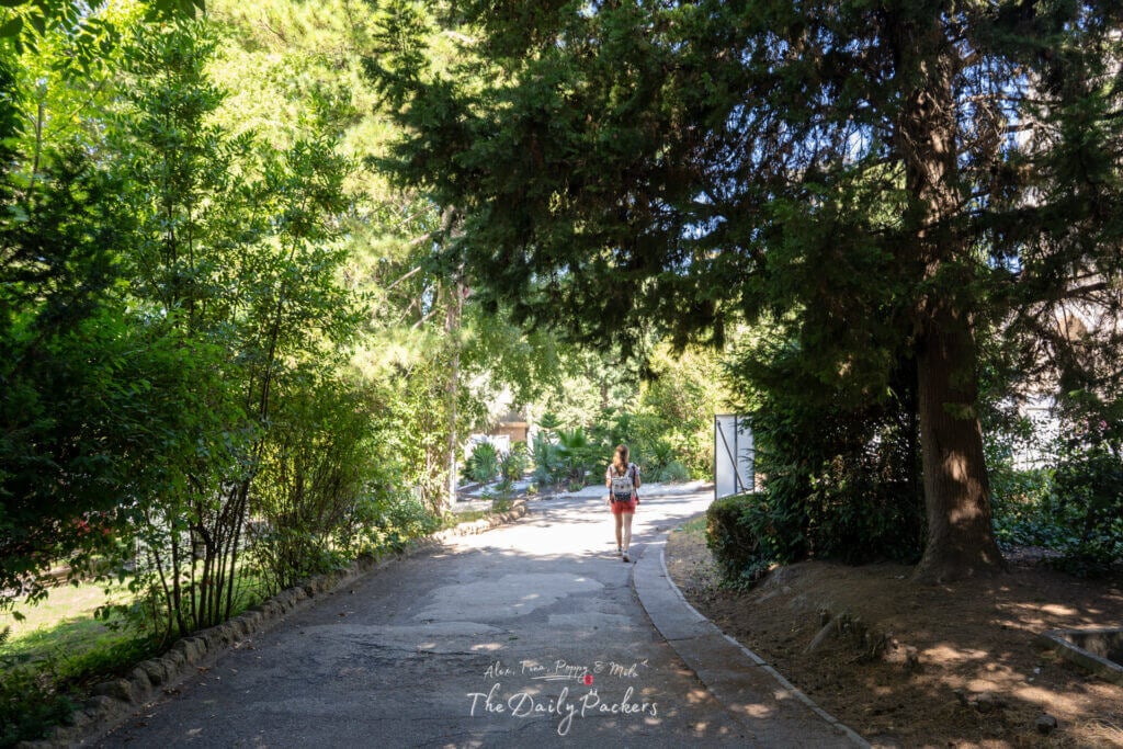 Chemin de jardin ombragé à Arles avec de grands arbres et une femme s'éloignant de l'appareil photo.
