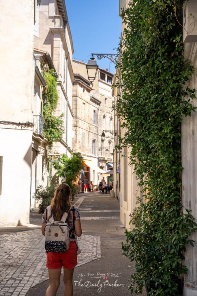 Murs couverts de lierre et volets pastel dans une rue pittoresque de La Roquette, Arles