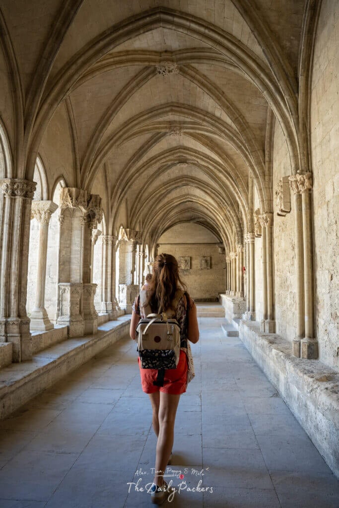 Arcs gothiques du Cloître Saint-Trophime à Arles, baignés d'une douce lumière.