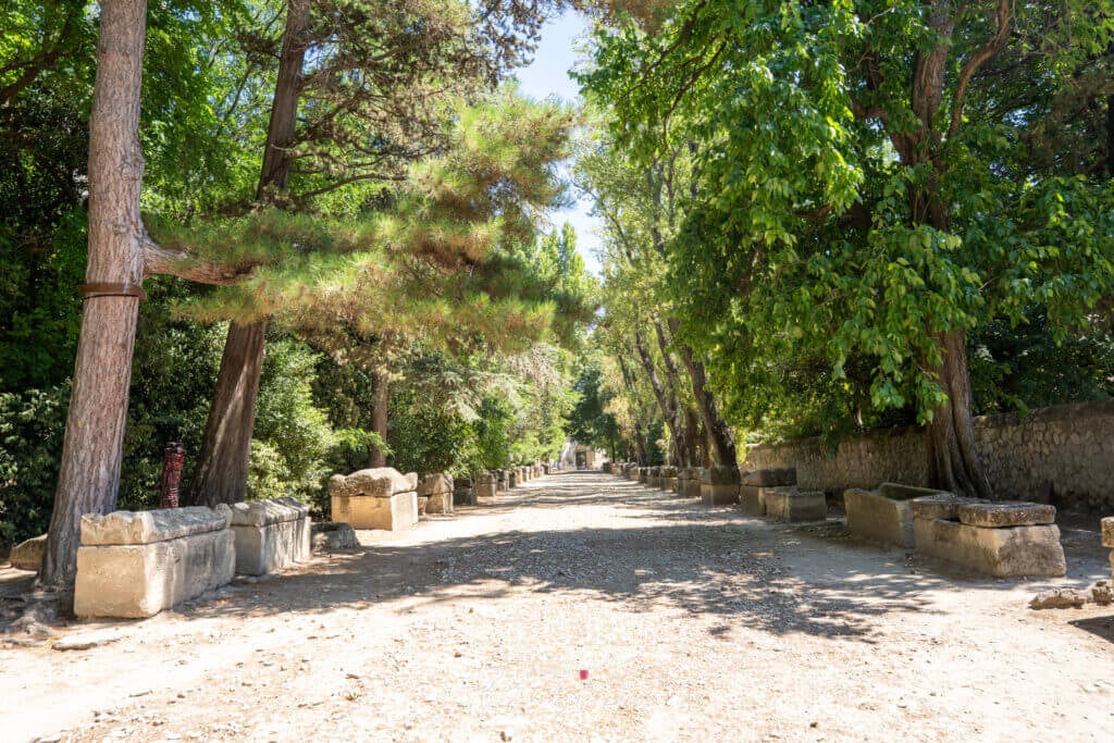 Allée ombragée des Alyscamps à Arles, bordée d'anciens sarcophages en pierre sous de grands arbres.