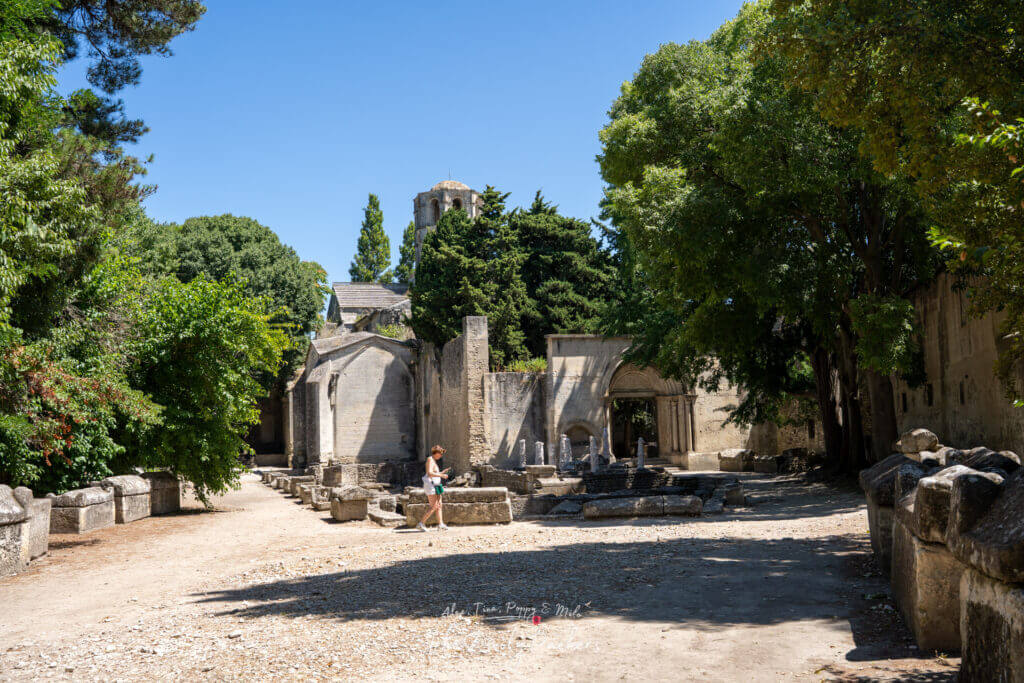 Les Alyscamps à Arles, avec des tombes anciennes de part et d'autre et des arbres encadrant le site historique.
