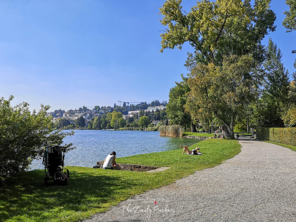Pathway along Lake Lucerne with people relaxing on the grass under tall trees on a sunny afternoon.