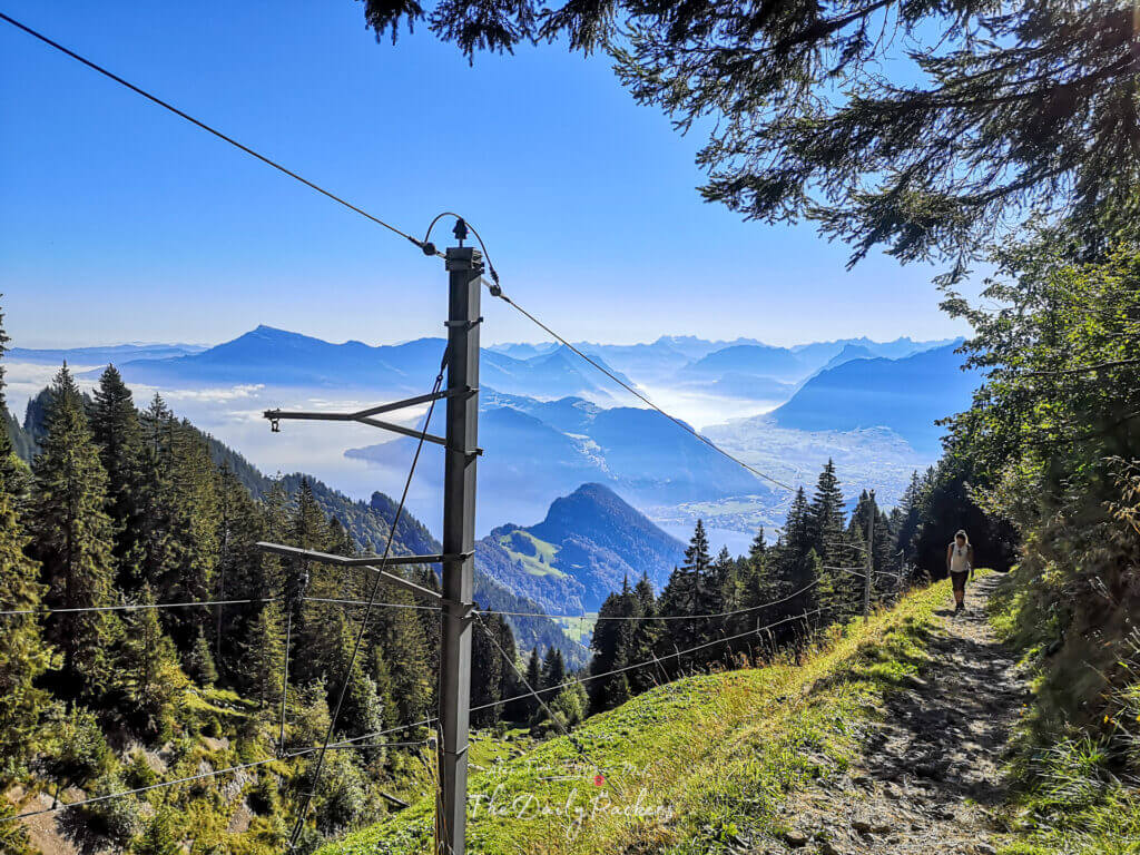 Randonneur marchant sur un sentier de montagne à travers la forêt, avec une vue imprenable sur le lac des Quatre-Cantons au loin.