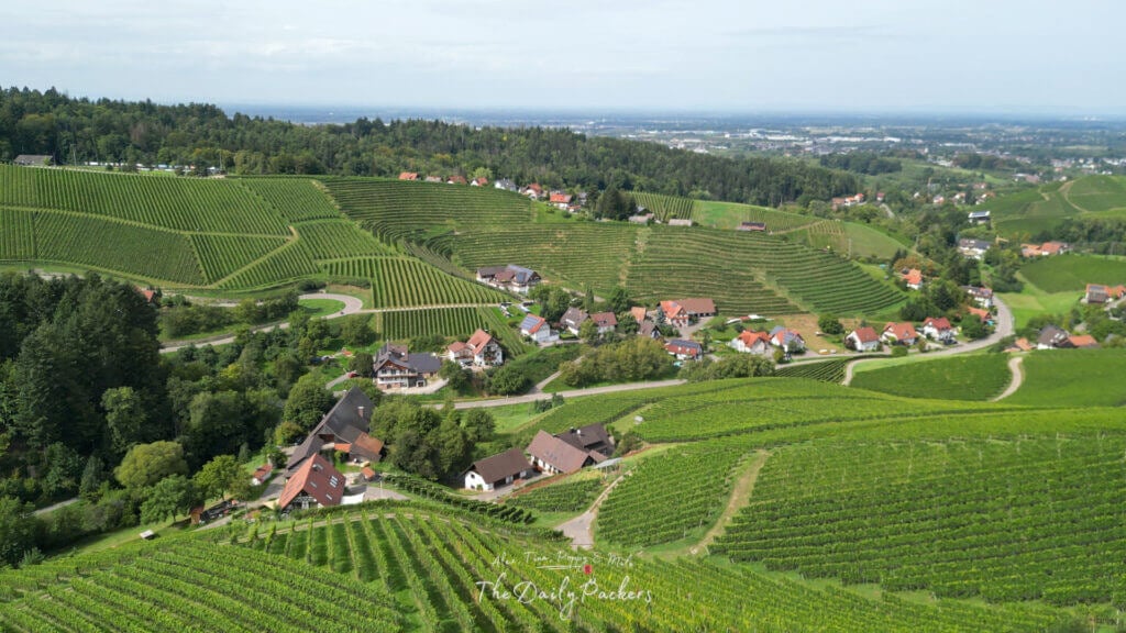 Drone view over Sasbachwalden’s vineyards and rolling hills dotted with traditional houses.