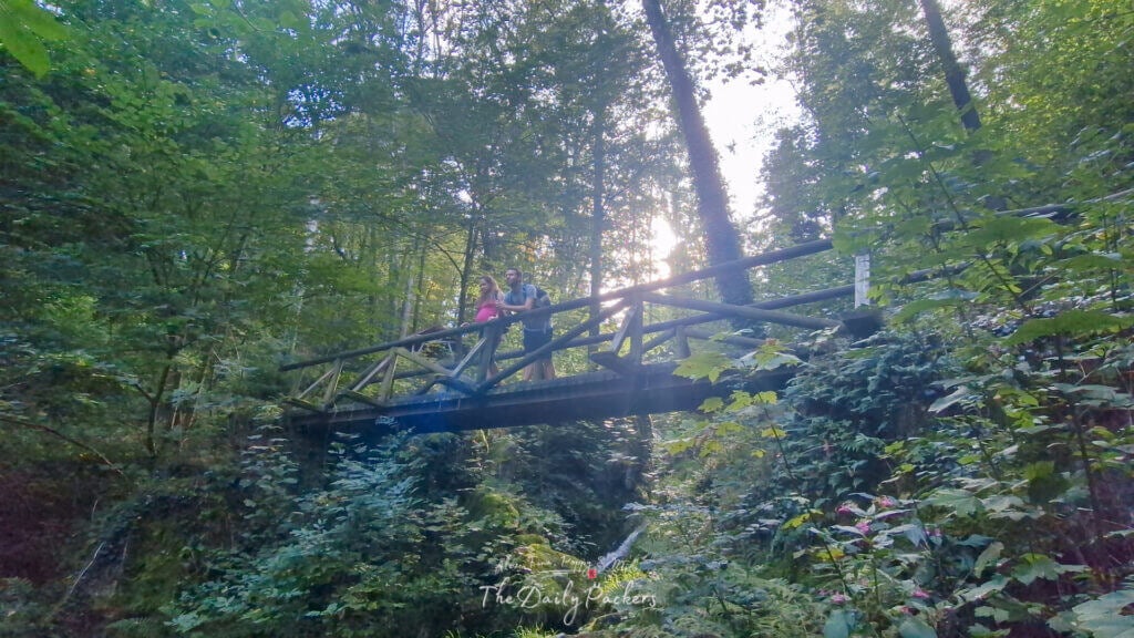 Couple debout sur un pont en bois entouré d'une forêt dense, la lumière du soleil filtrant à travers les arbres.
