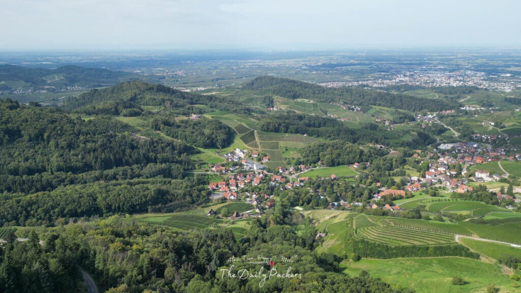 Vue aérienne de Sasbachwalden et des vignobles environnants, nichés dans les contreforts de la Forêt-Noire.