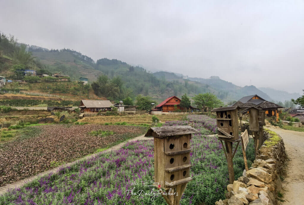 Scenic garden in Cat Cat Village with purple flowers, birdhouses, and wooden houses against mountain hills.