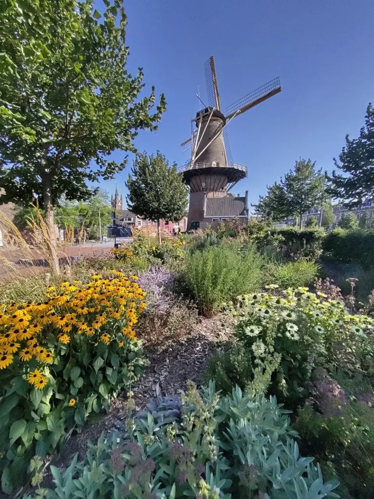 De Roos windmill in Delft surrounded by trees and traditional houses