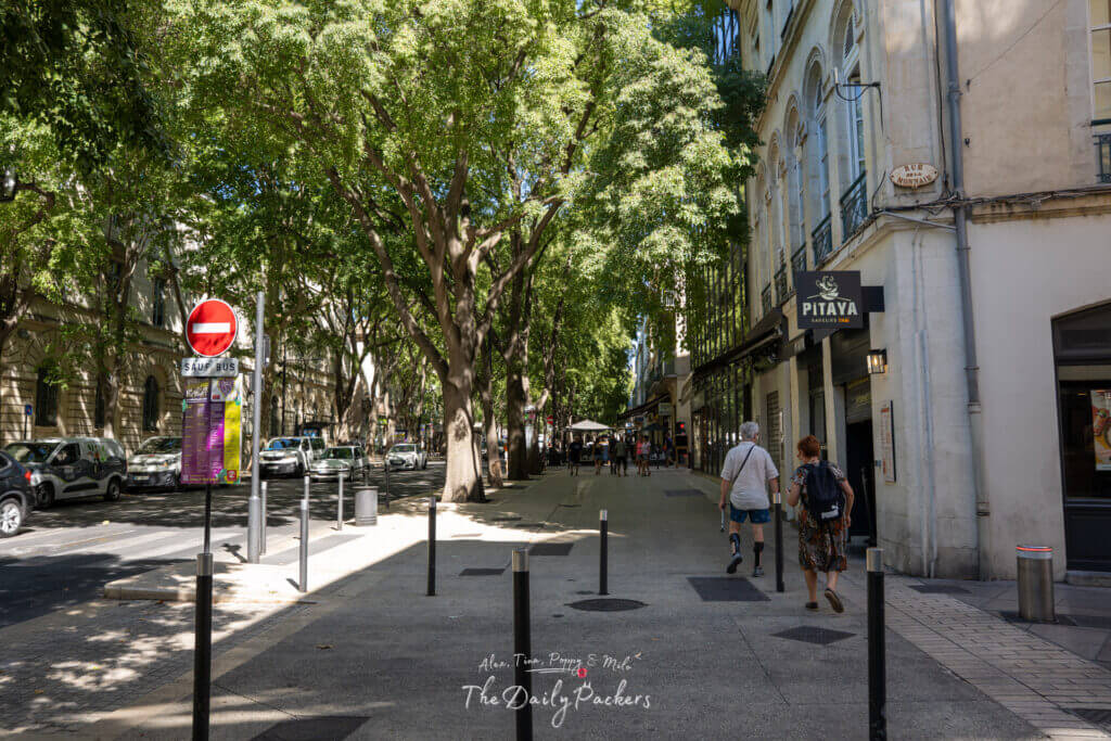 Boulevard Victor Hugo à Nîmes avec de grands arbres bordant le trottoir et des gens qui marchent