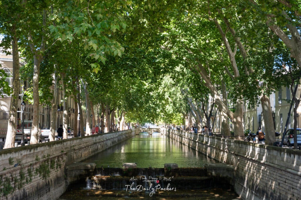Promenade ombragée le long du quai de la Fontaine à Nîmes, bordé de grands platanes