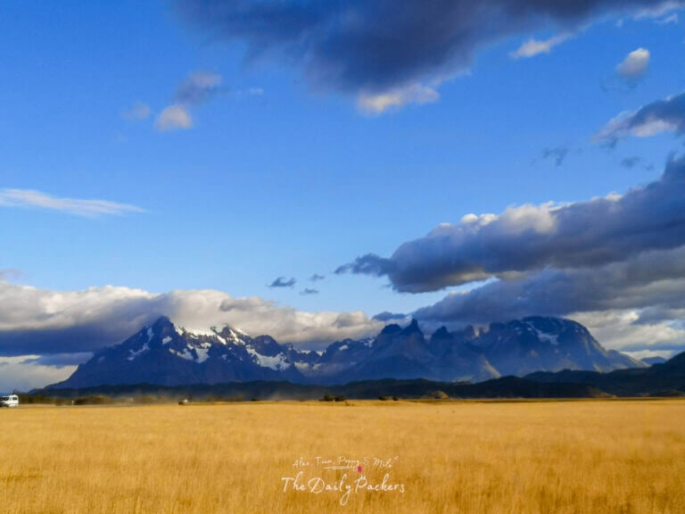 Snow-capped Torres del Paine mountains rising above golden grasslands under a blue sky at the entrance of Torres del Paine for the W-trek day 1