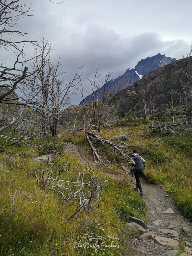 Hiker making their way uphill on a rocky trail surrounded by bare trees towards Refugio Grey.