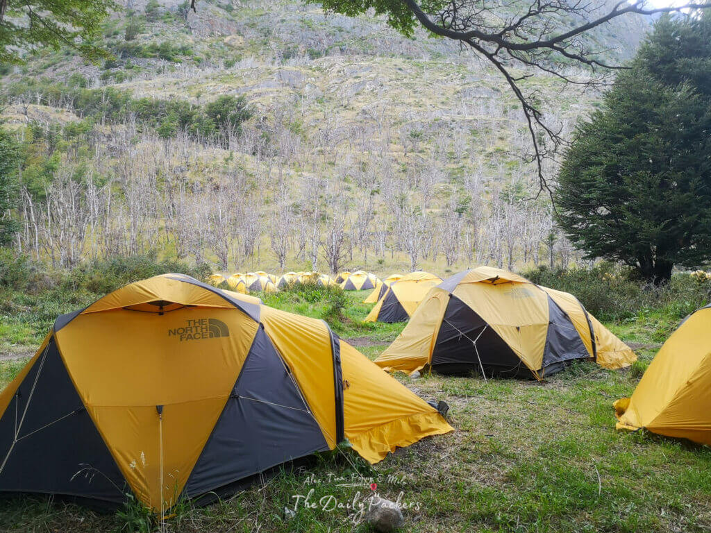 Cluster of yellow and black The North Face tents in a grassy field at Refugio Grey, with a backdrop of mountains and sparse trees.