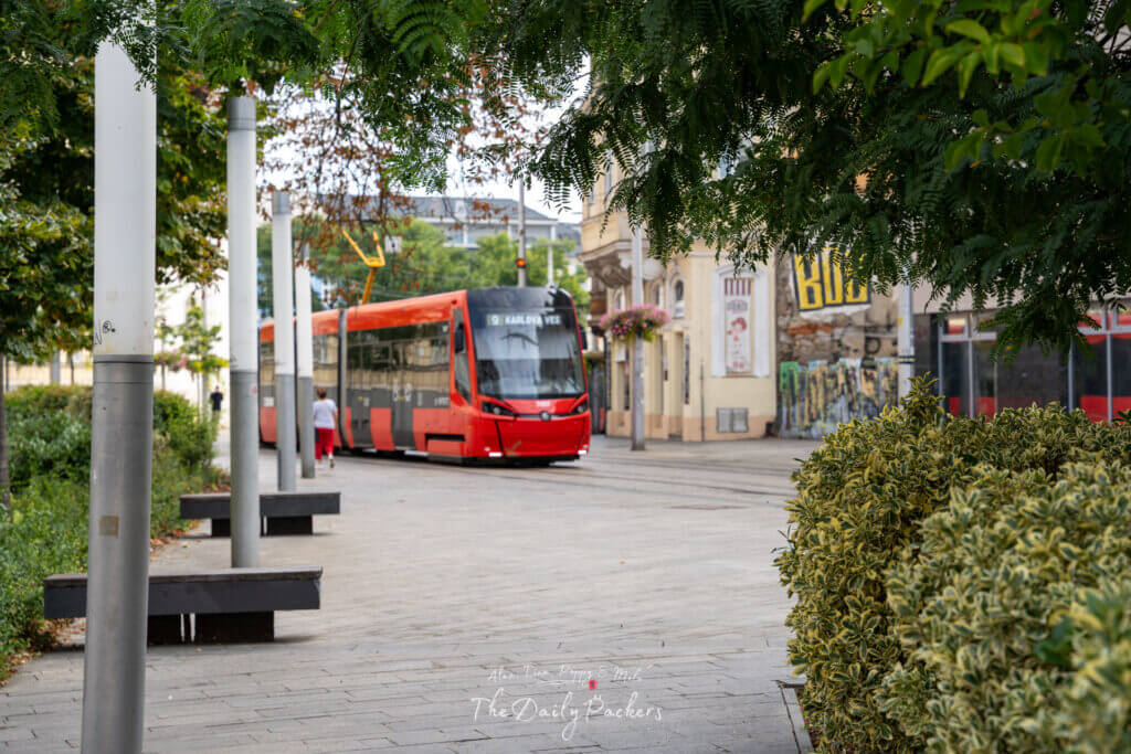 Modern red tram passing through a tree-lined street in Bratislava, Slovakia.