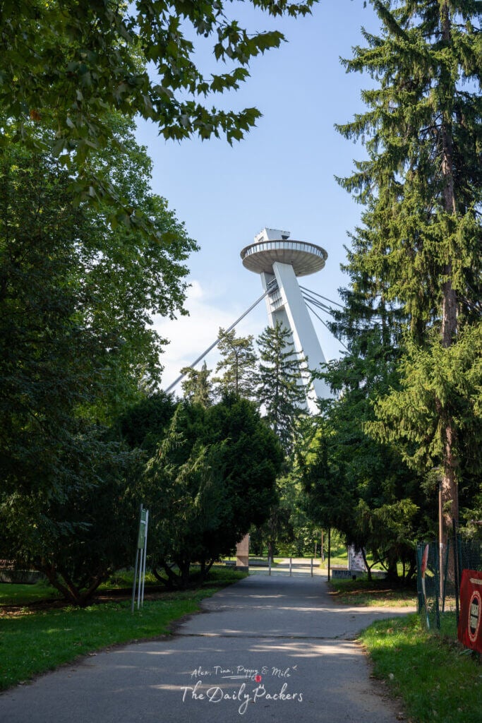 View of the Bratislava UFO Tower peeking through the trees from a nearby park.