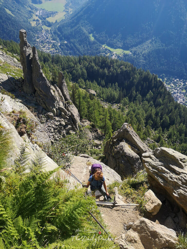Final rungs of a ladder topping out above ferns with the village far below