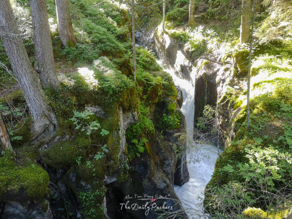 Étroite cascade coulant à travers des rochers moussus et des arbres dans une section de forêt ombragée près de Les Contamines.
