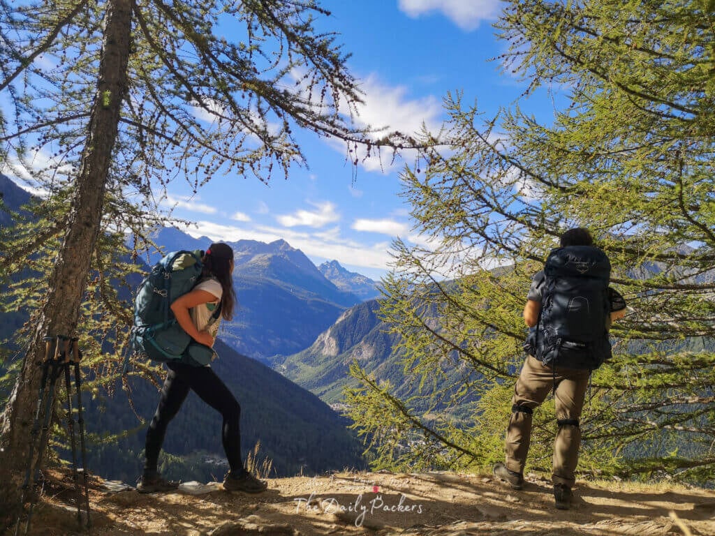 Two hikers with backpacks standing under tall trees, gazing at the panoramic mountain views.