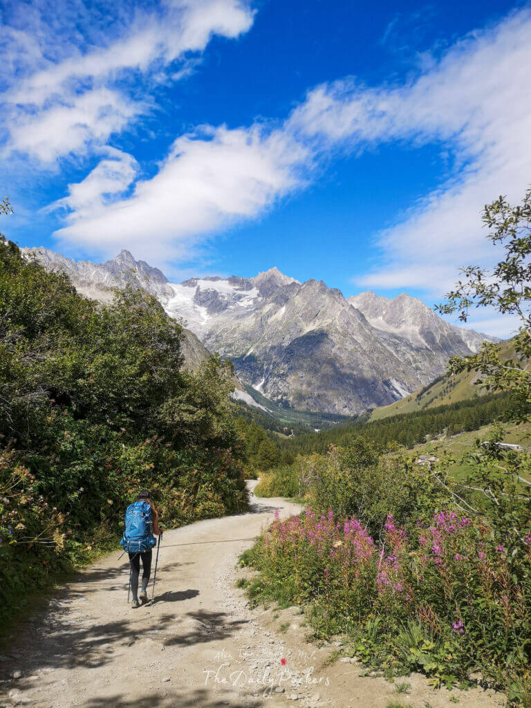 Hiker walking down a dirt path lined with wildflowers towards glaciers near La Fouly.